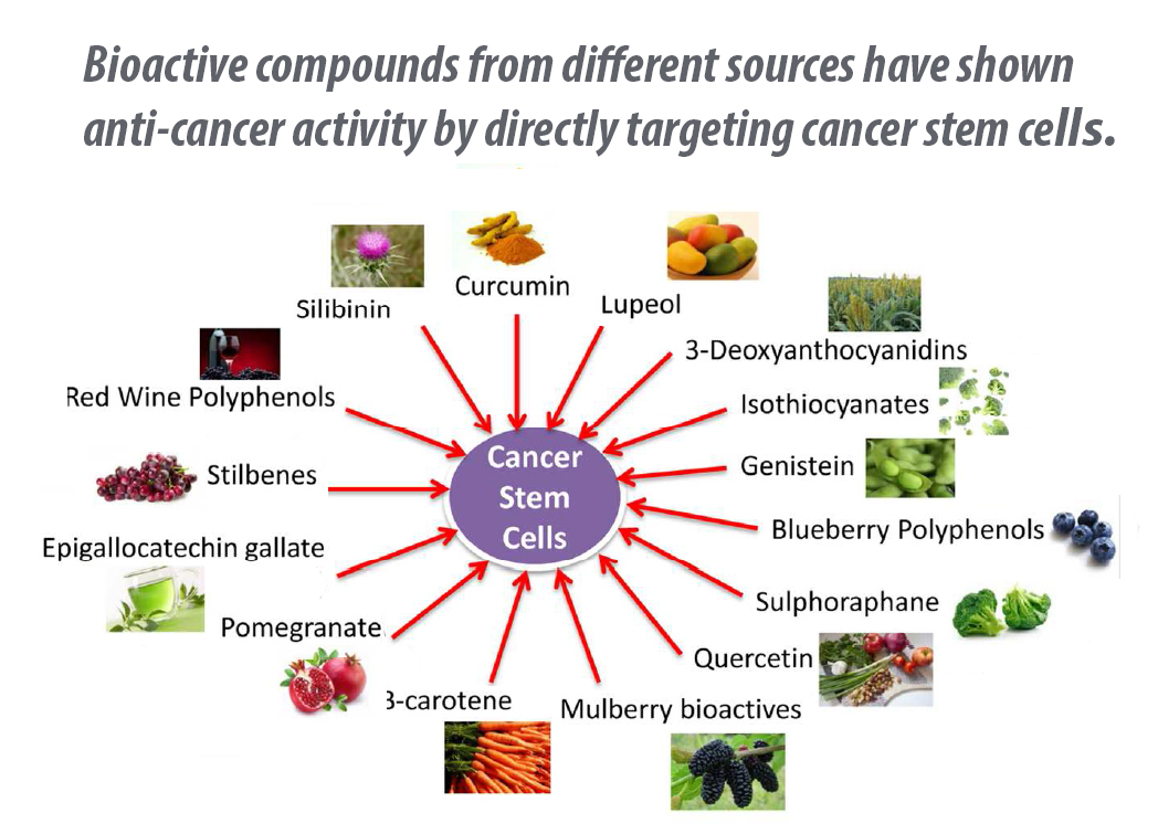Fruits Vegetables Farm To Fork Continuum Vital To Cancer Prevention